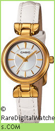 CASIO Watch LTP-1353GL-7A