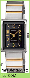CASIO Watch LTP-1355SG-1A