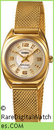 CASIO Watch LTP-1363GD-9A